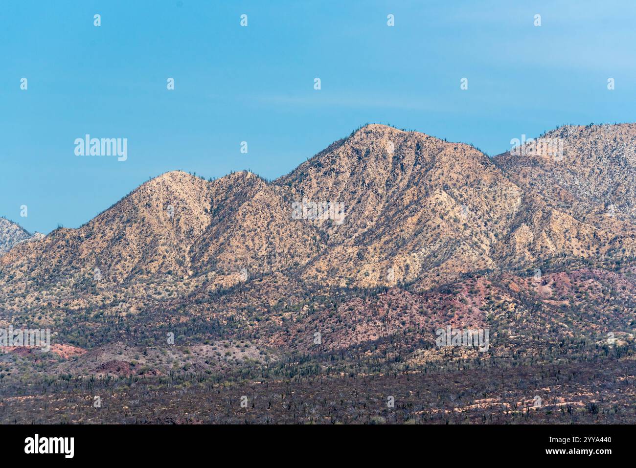 Desert island mexico hi-res stock photography and images - Alamy