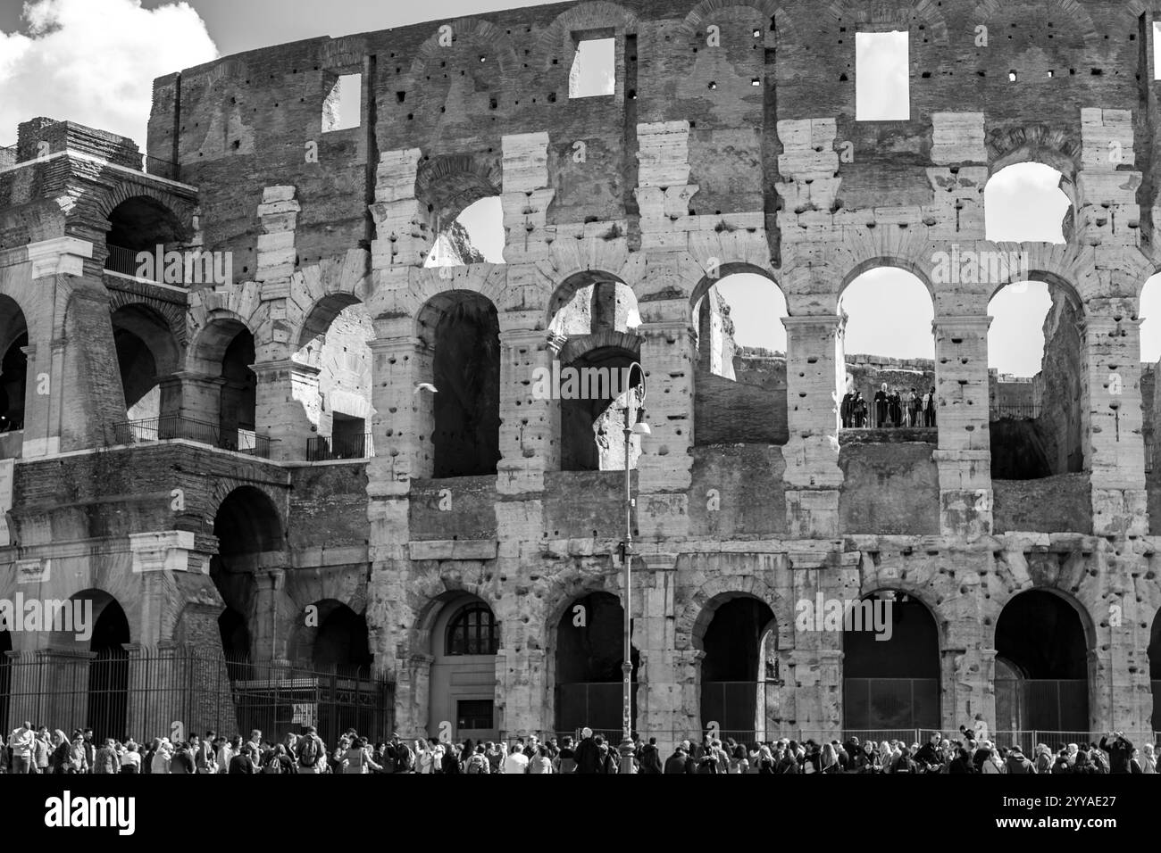 Green colosseum in rome Black and White Stock Photos & Images - Alamy