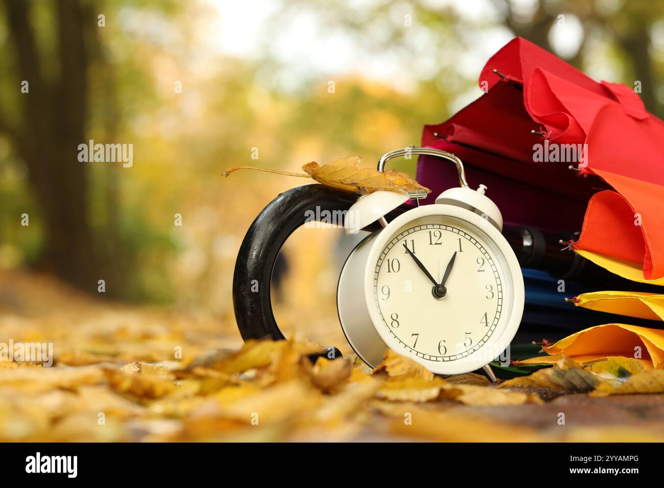 Autumn time. Alarm clock and umbrella in park, closeup Stock Photo