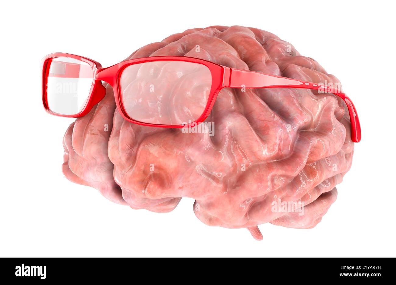 Human Brain with glasses. 3D rendering isolated on white background Stock Photo