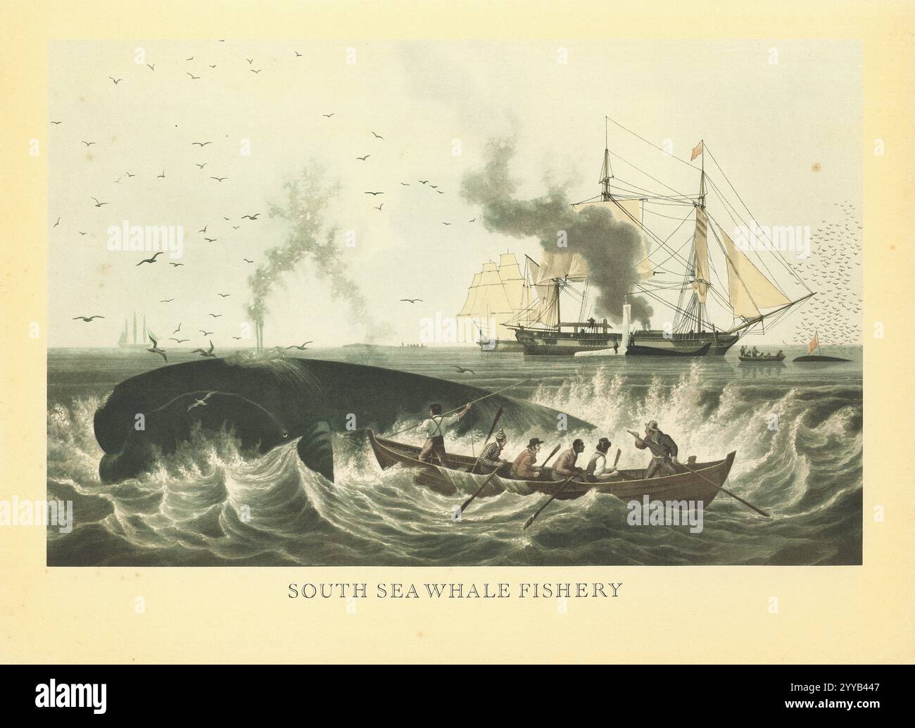 whaling ships at work in the south seas, circa 1860 Stock Photo - Alamy