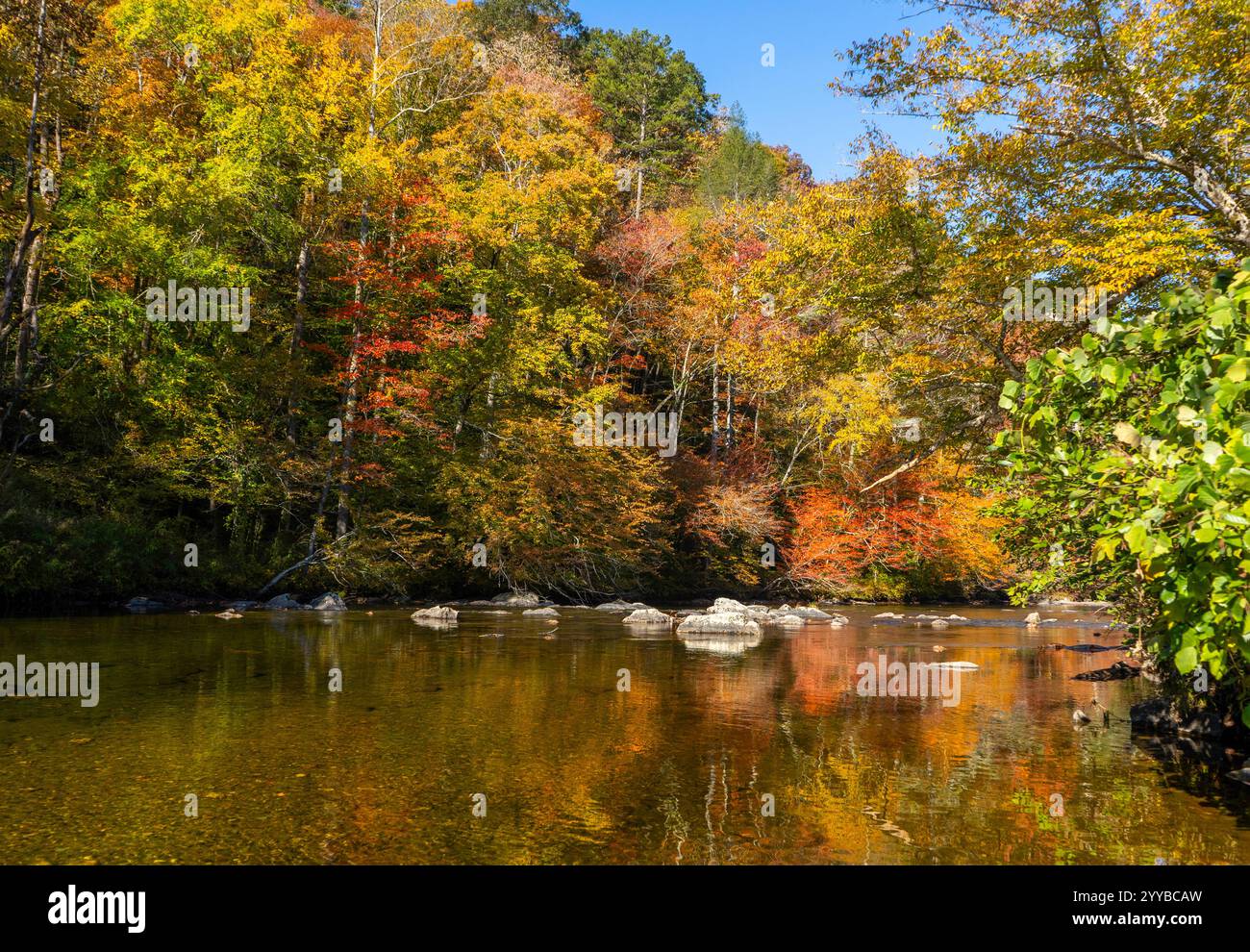 An alcove of Indian Boundary Lake in autumn with vibrant red, yellow, and green trees reflecting in the water. Cherokee National Forest, Tennessee. Stock Photo