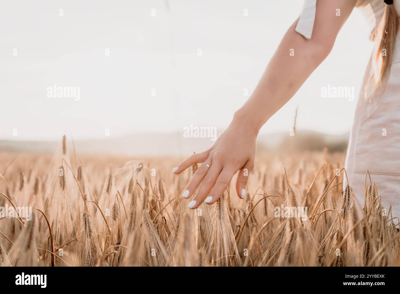 Hand Reaching Through a Golden Wheat Field Stock Photo - Alamy