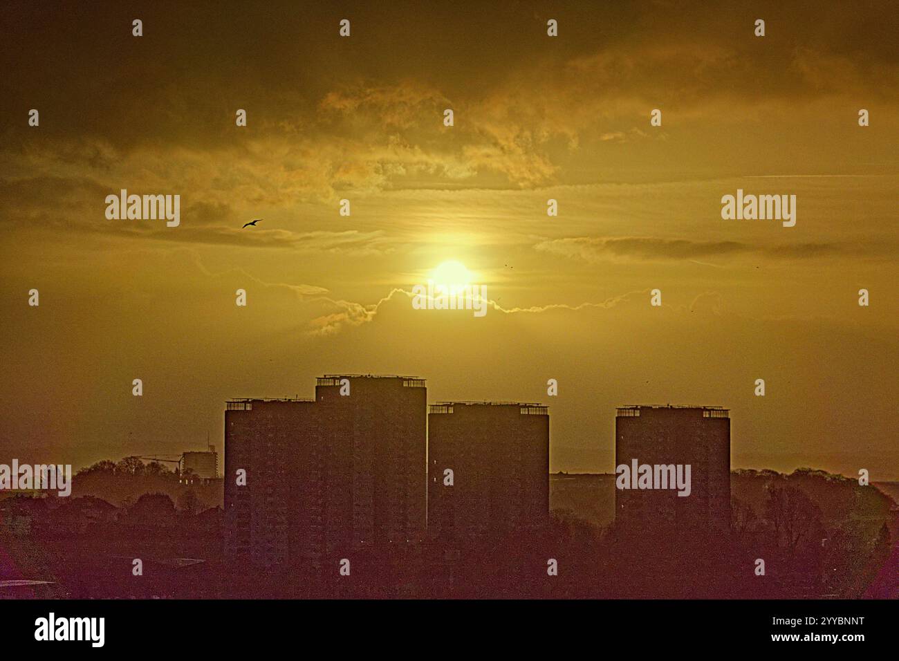 Glasgow, Scotland, UK. 21st December, 2024. UK WeatherDull for the