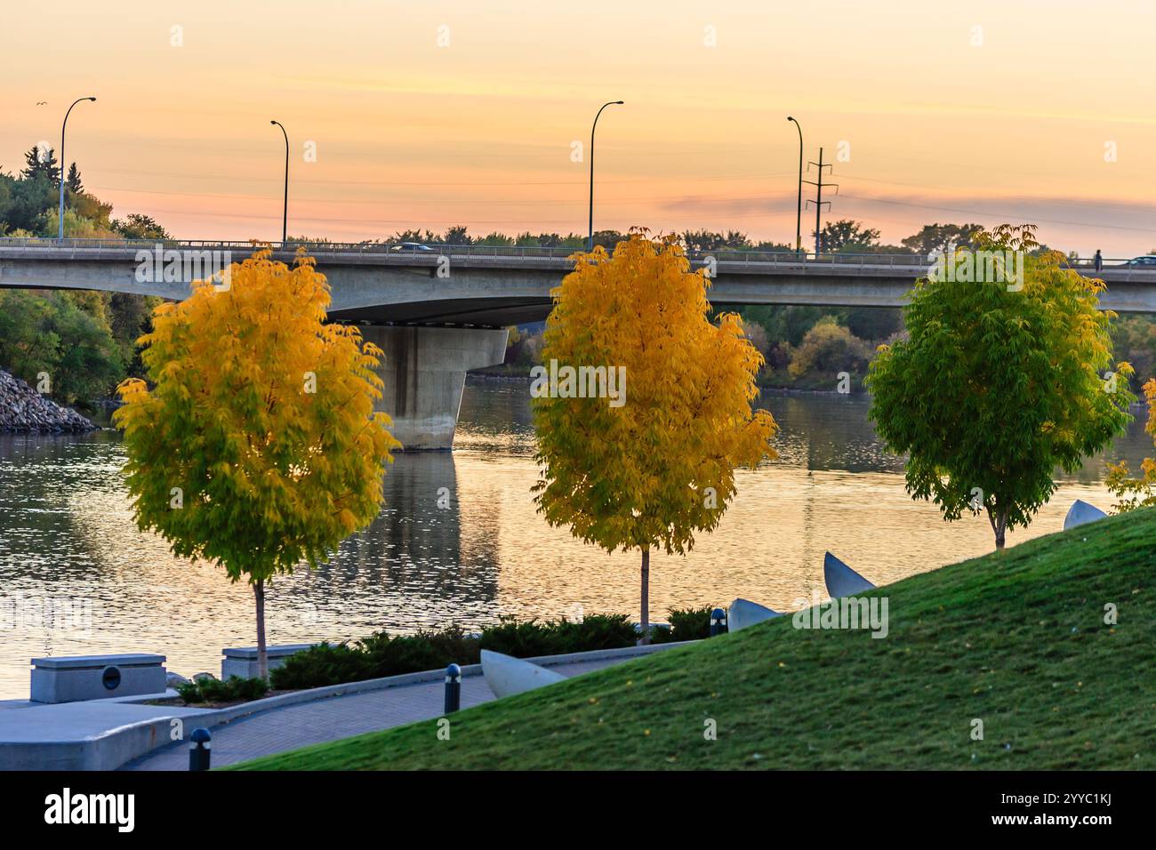A bridge spans a river with three trees on either side. The trees are ...