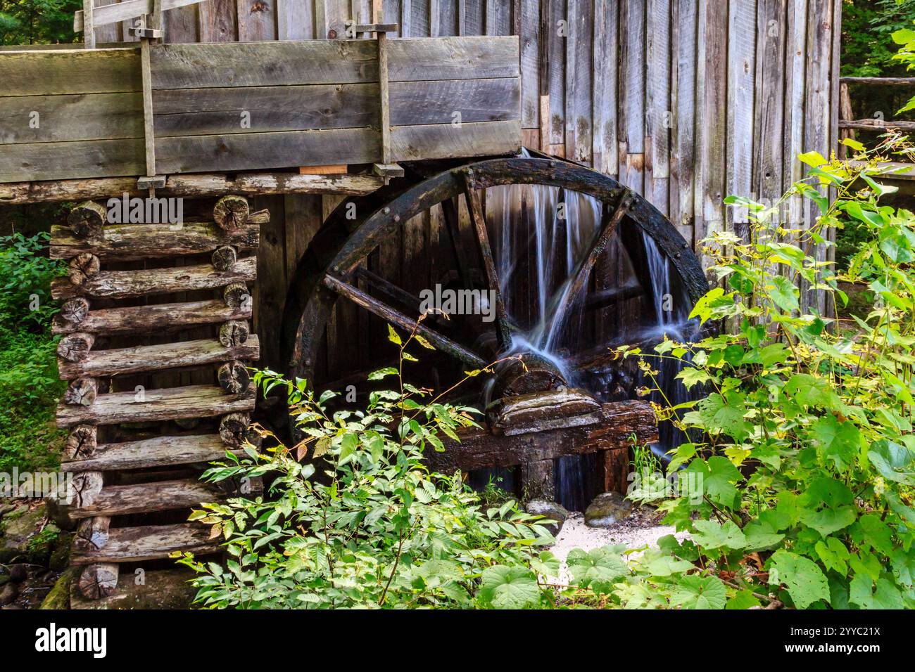 A wooden water wheel is surrounded by lush green foliage. The water ...