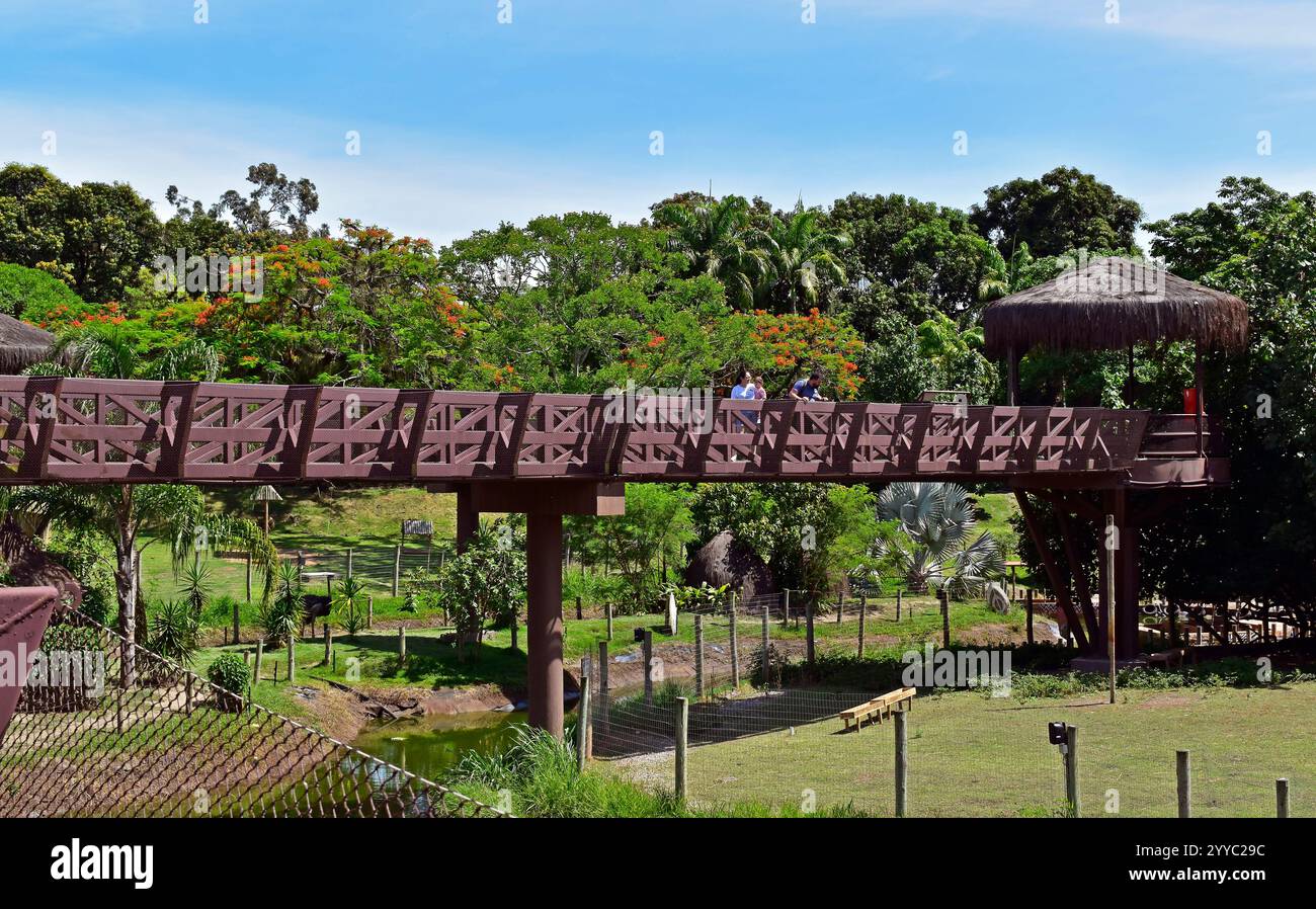 RIO DE JANEIRO, BRAZIL - December 13, 2024: Wooden pedestrian bridge at ...