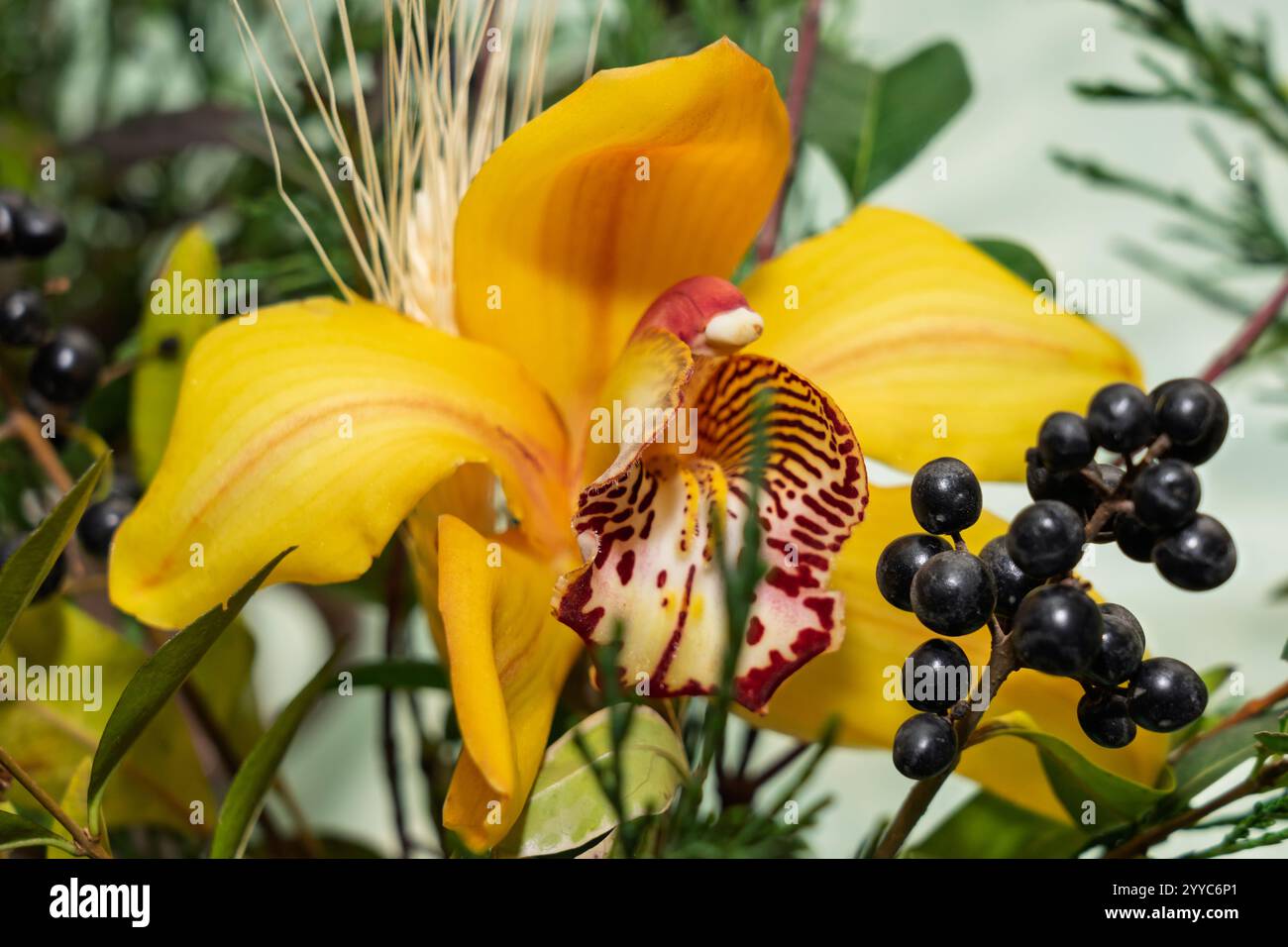 Showcases vibrant patterns hi-res stock photography and images - Alamy