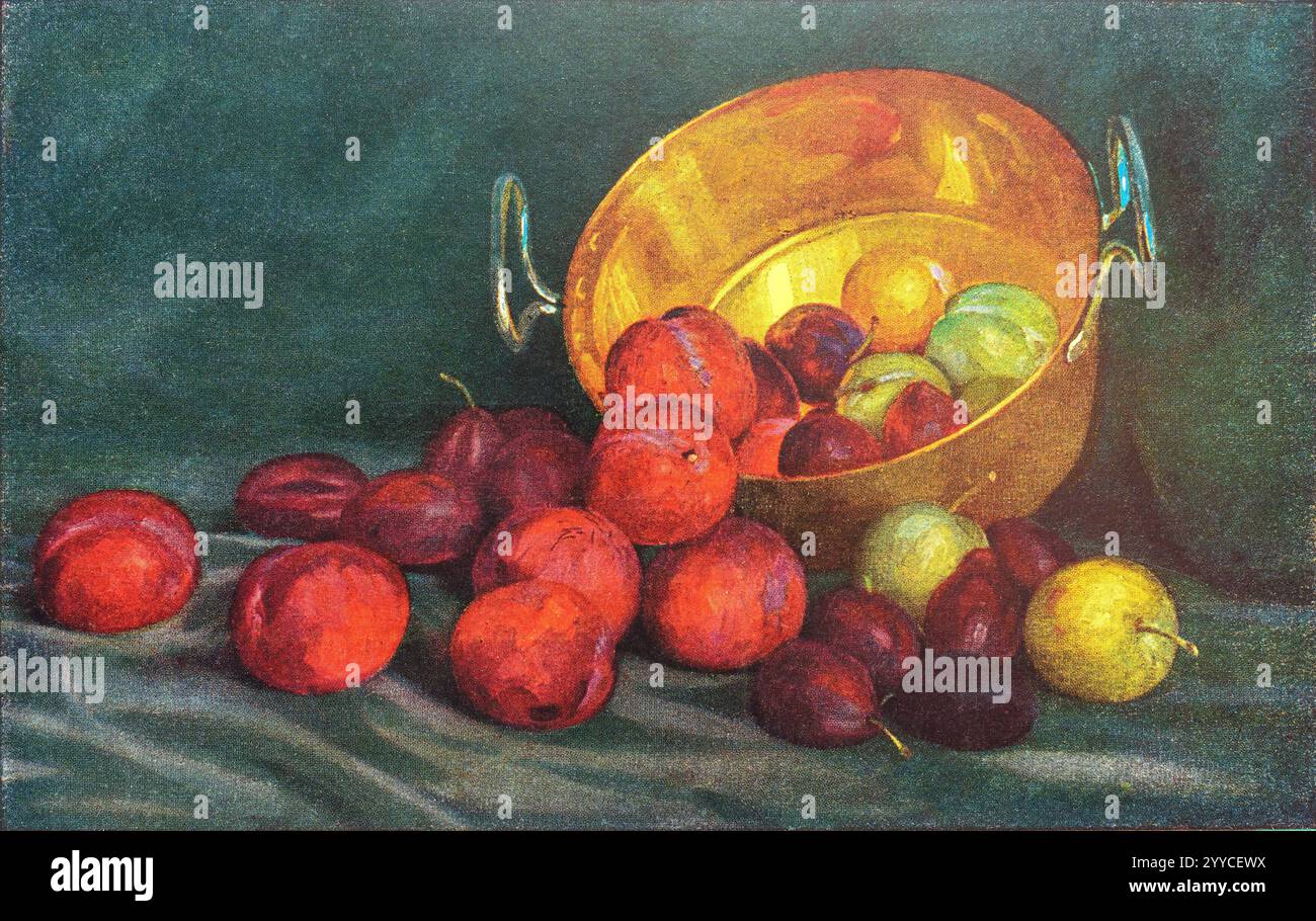 Vintage 1910-1920 postcard with still-life painting of red and green plums spilling from a copper pan. Stock Photo