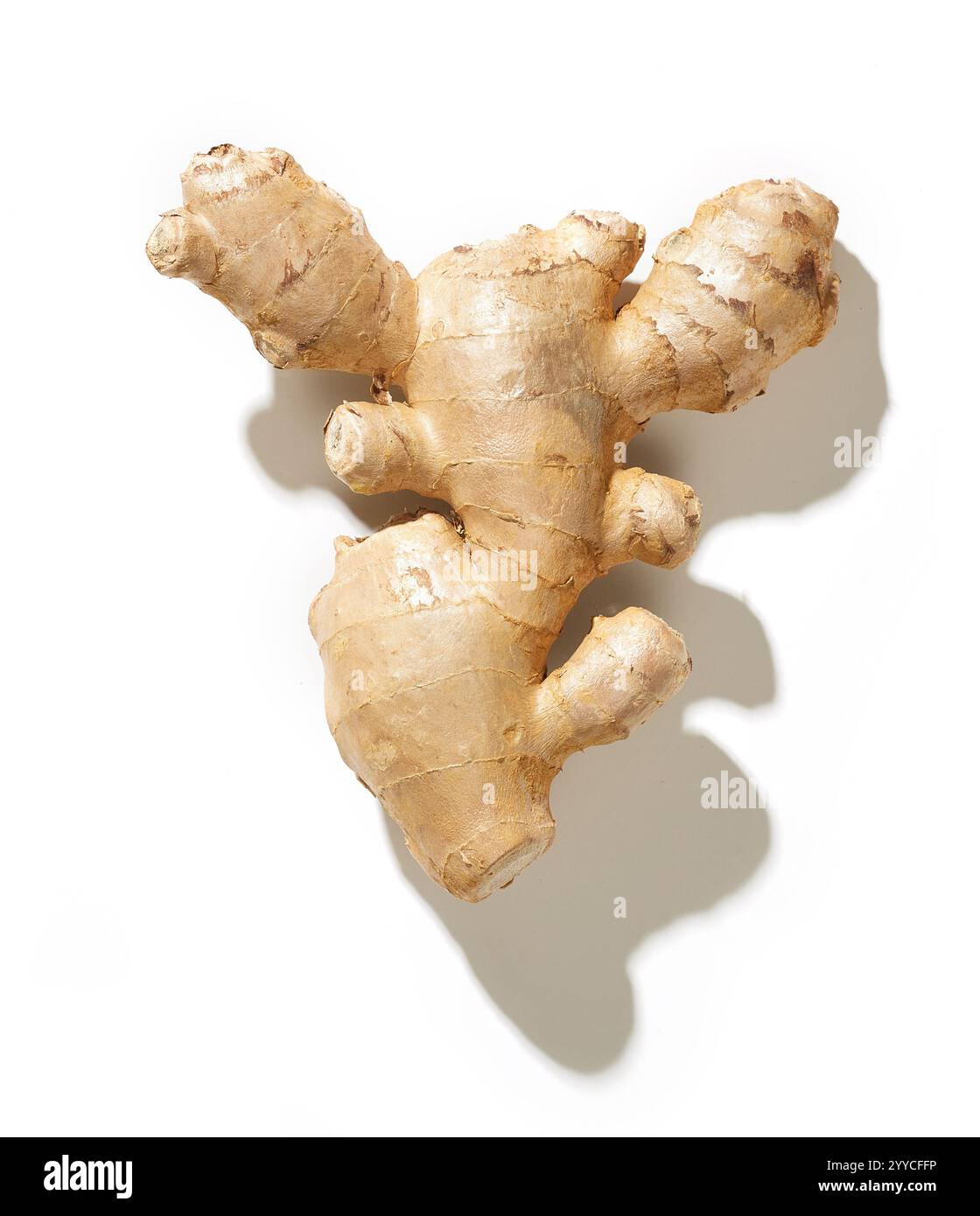 fresh raw ginger isolated on white background, top view Stock Photo