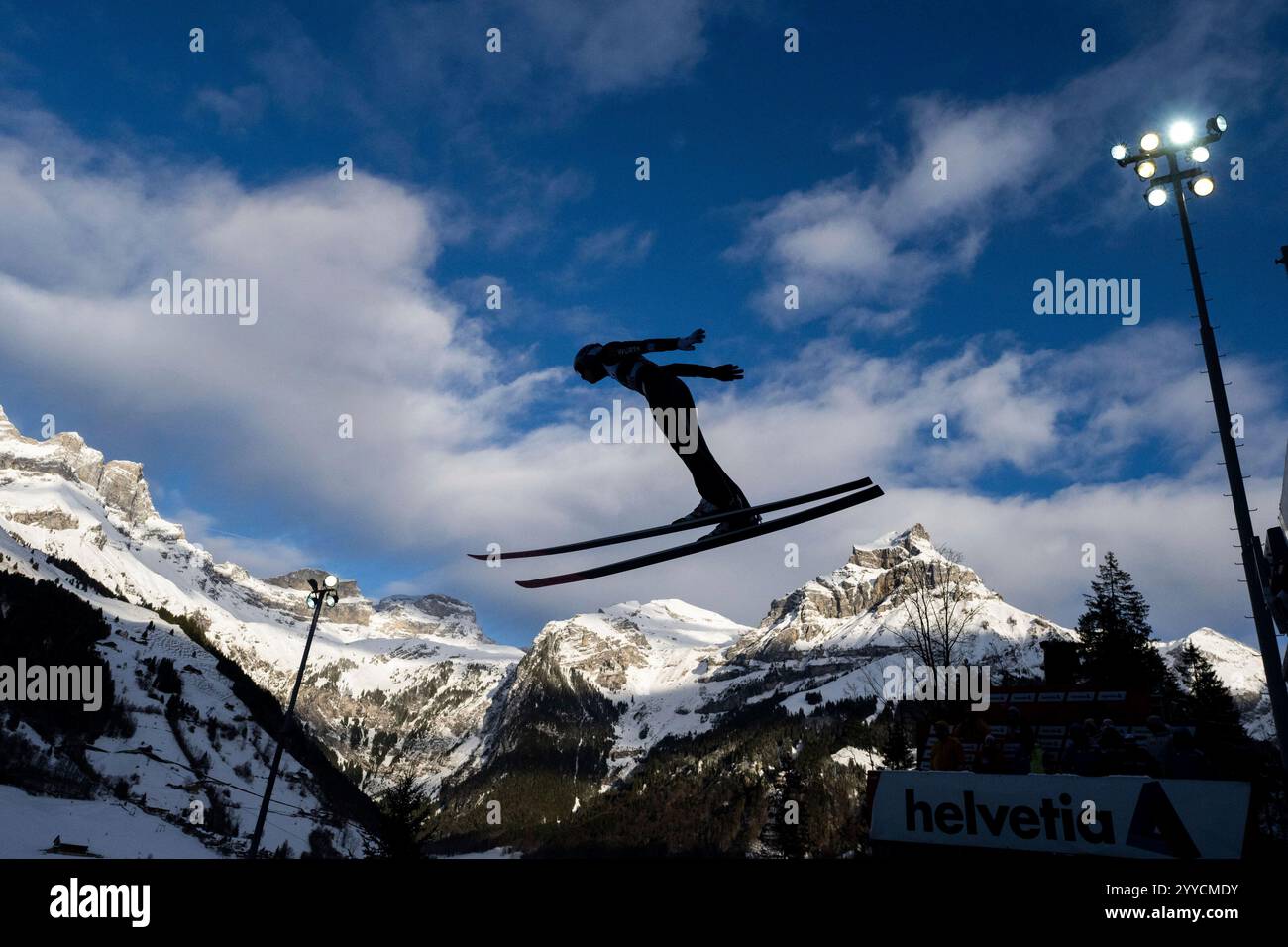 WELLINGER Andreas (Deutschland), Schattenriss vor Alpernpanorama, SUI