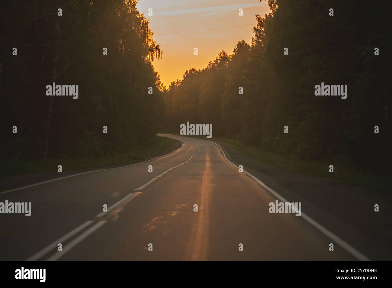 The asphalt road goes into the distance On the Sunset Stock Photo - Alamy