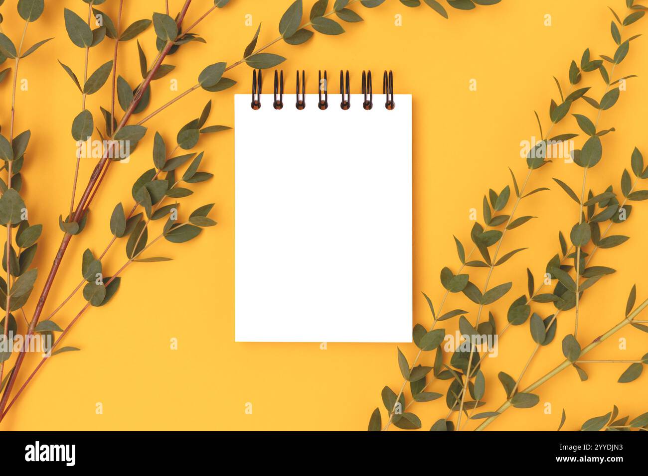 Eucalyptus branches and empty notepad mockup on a yellow background. Stock Photo