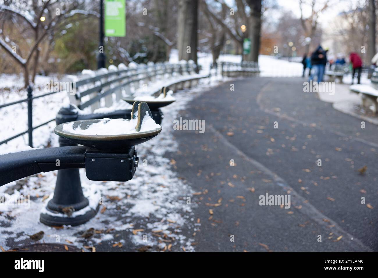 Snow blanketed New York, NY on December 21, 2024, which also marked the
