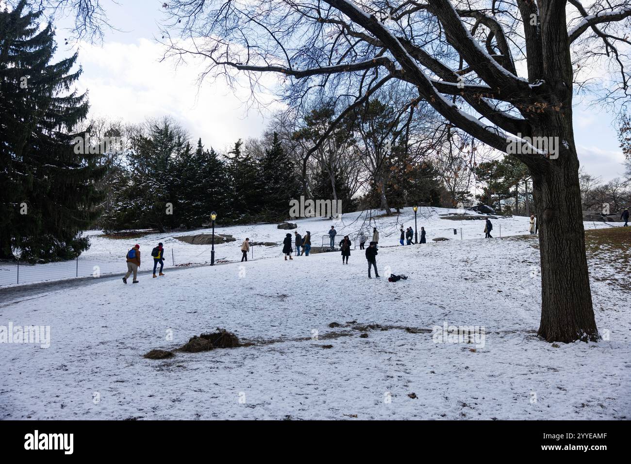 Snow blanketed New York, NY on December 21, 2024, which also marked the