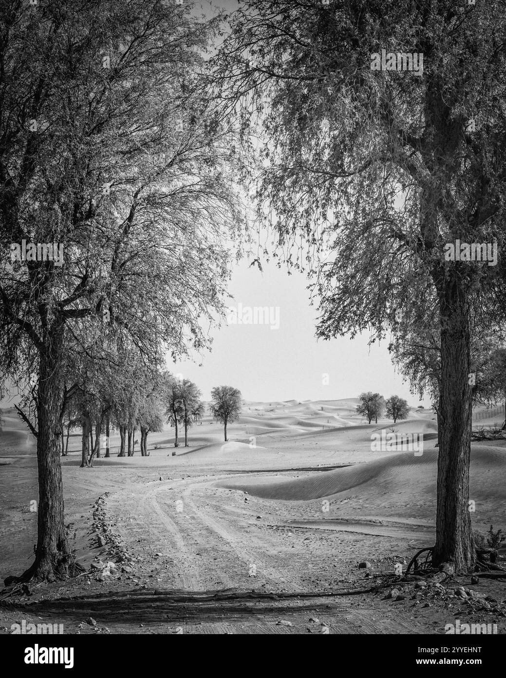 Landscape cover Black and White Stock Photos & Images - Alamy