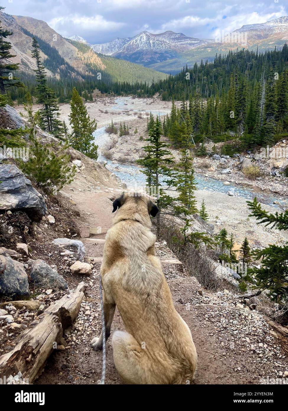 Beautiful Mountain Views of Lake Loiuse - Smartphone Captured Stock Image