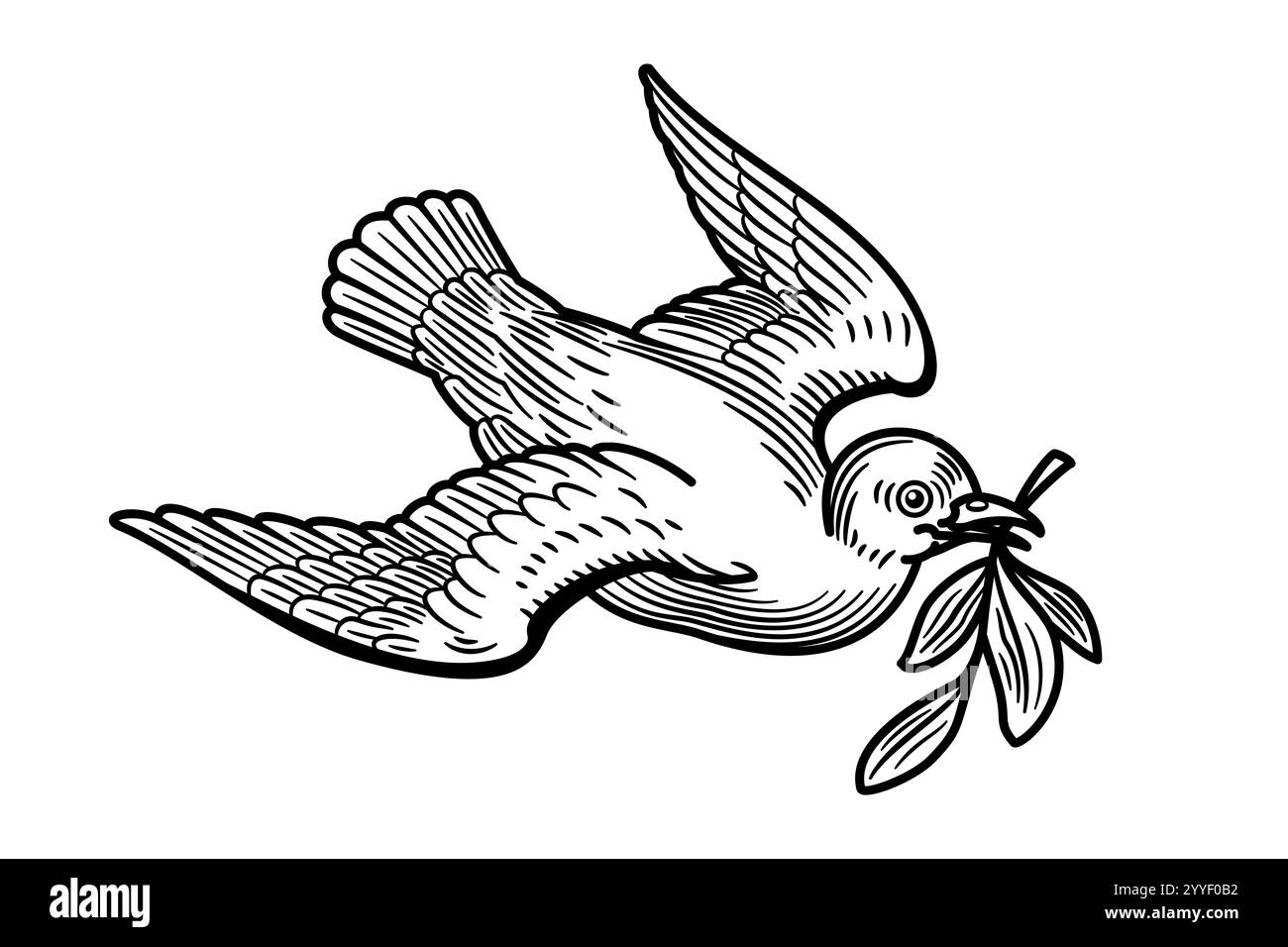 White dove with olive branch, a symbol of peace and pacifism. After the flood, a dove released by Noah returns to the ark with a fresh olive branch. Stock Photo