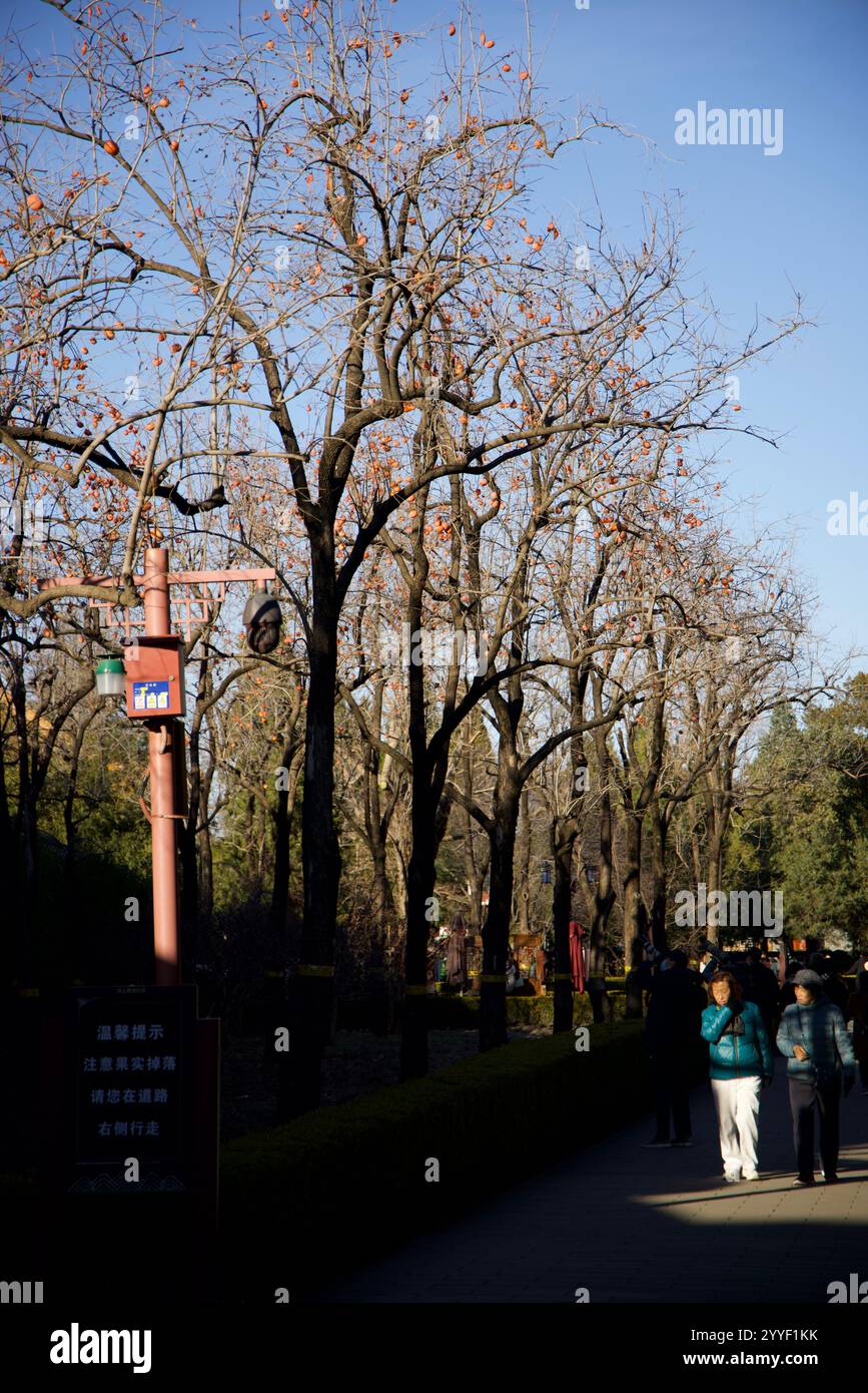 Historical Beijing Stock Photo