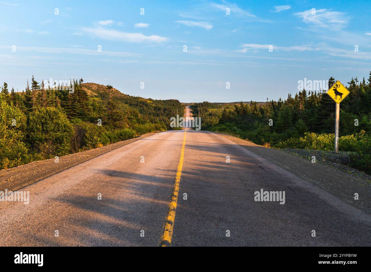 Diamond Road Sign Canada