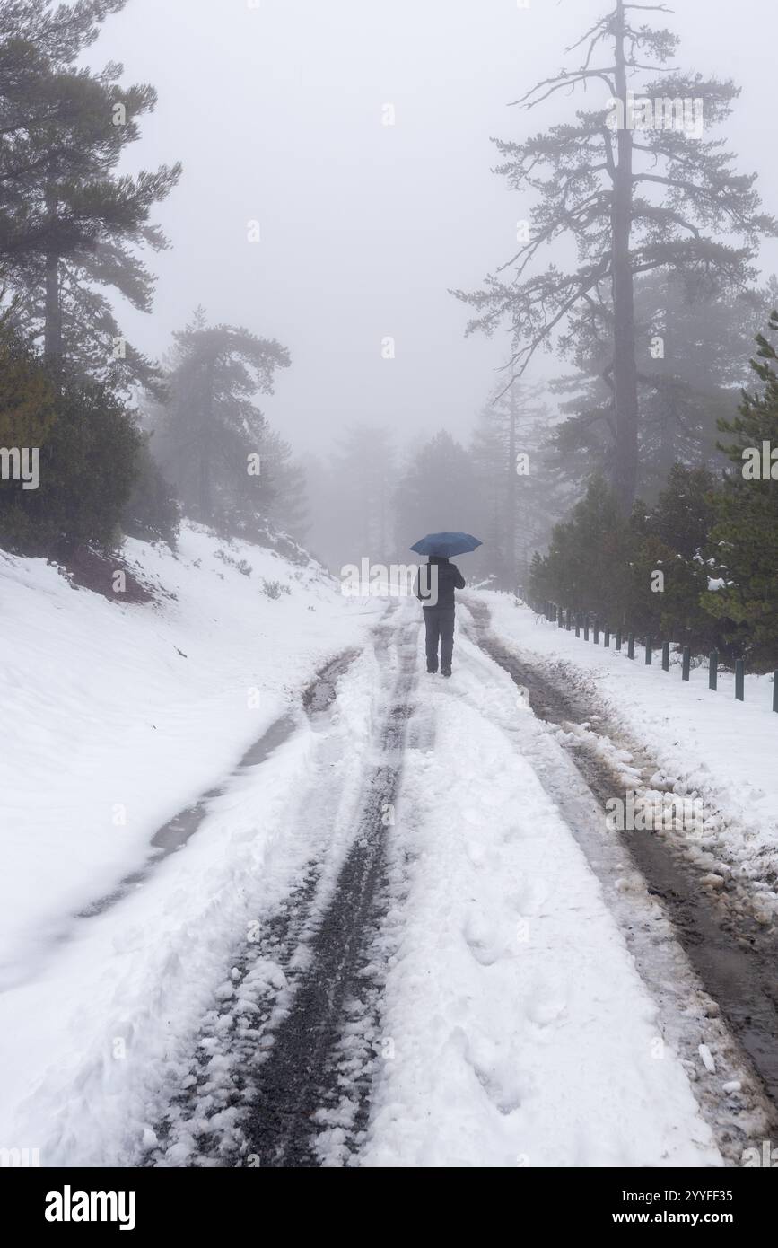Person walking with umbrella on snowy mountain road in foggy weather. troodos mountains, Cyprus Stock Photo