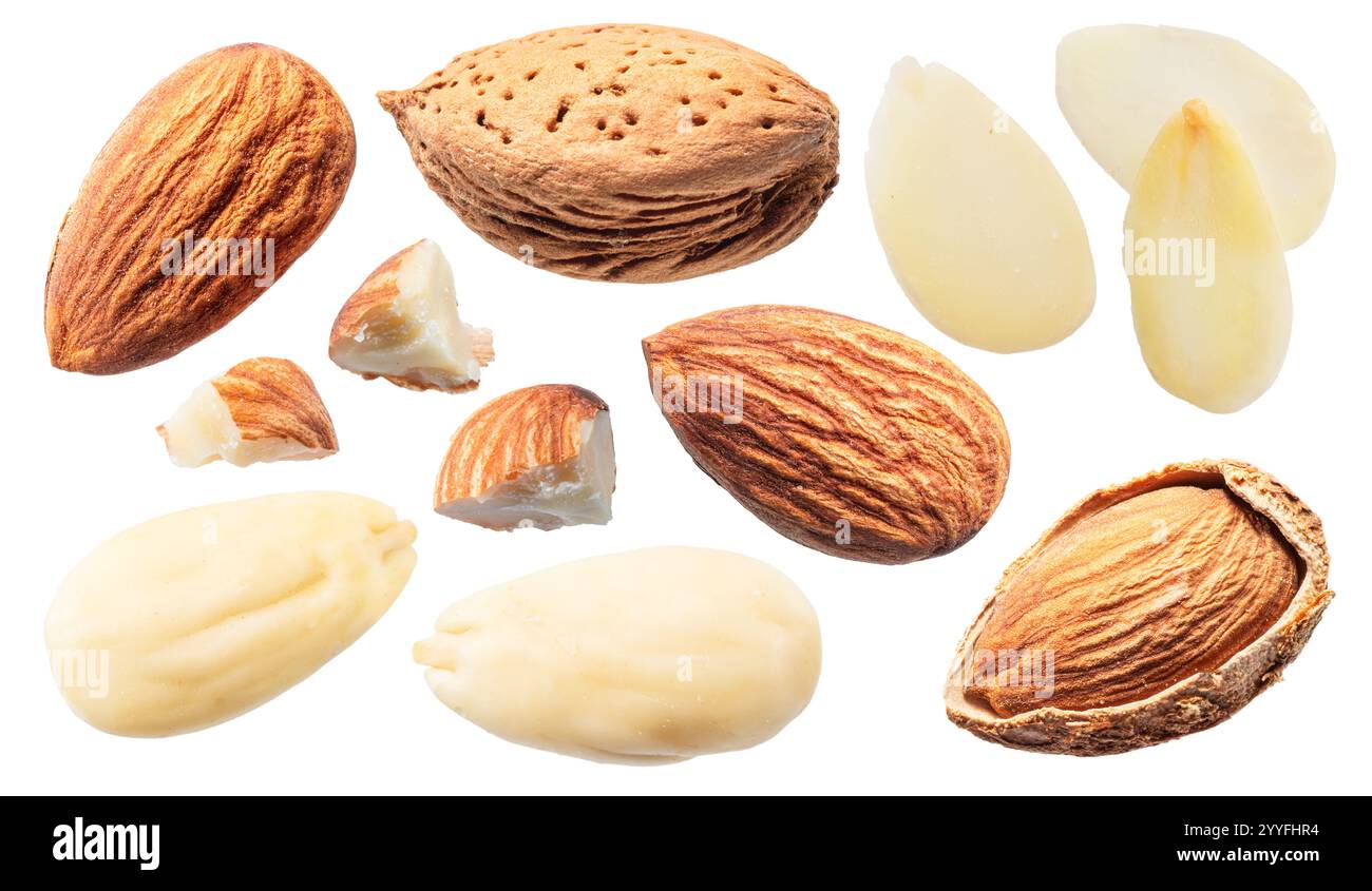 Set of different almond nuts isolated on white background. File ...