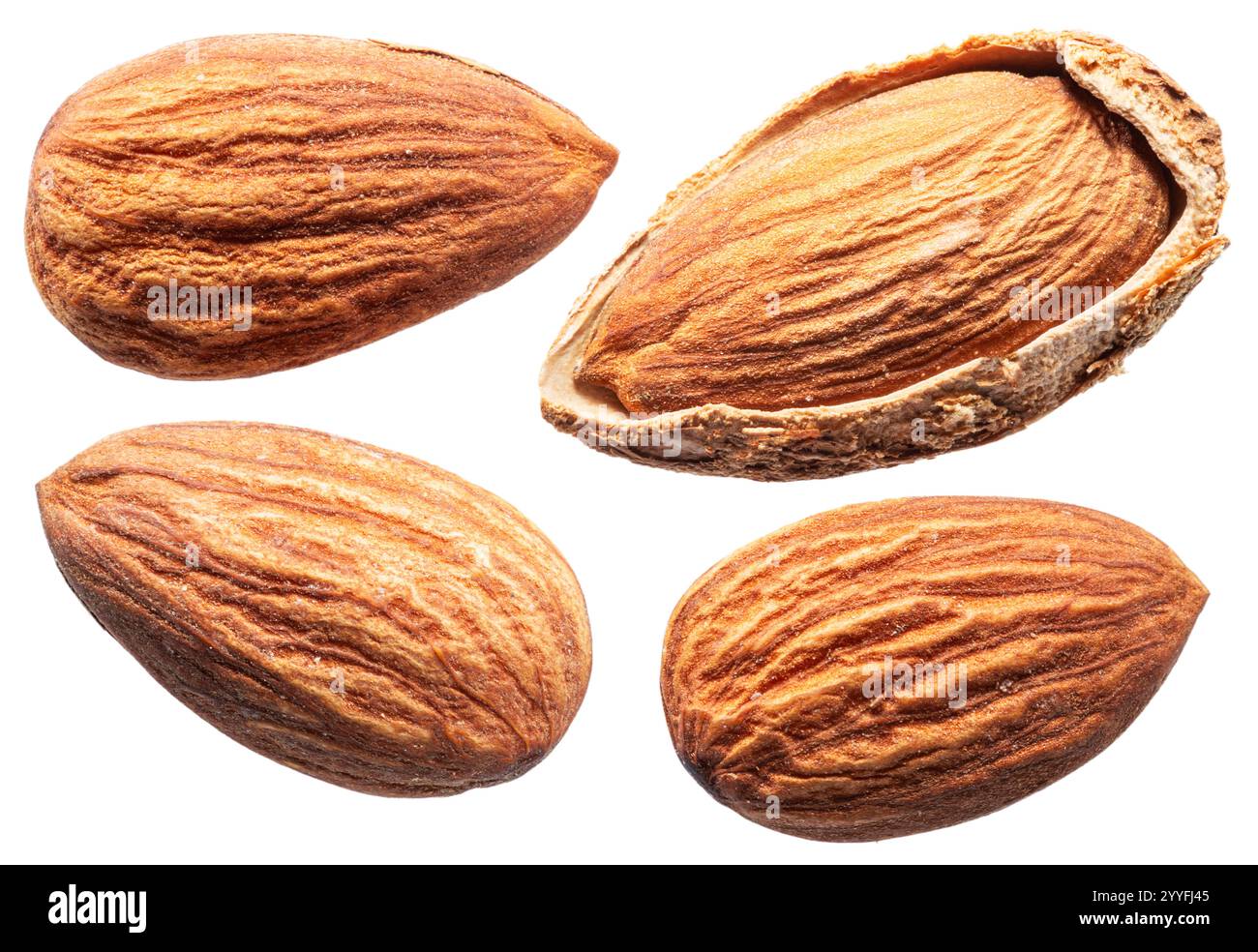 Set of four almond nuts isolated on white background. File contains ...