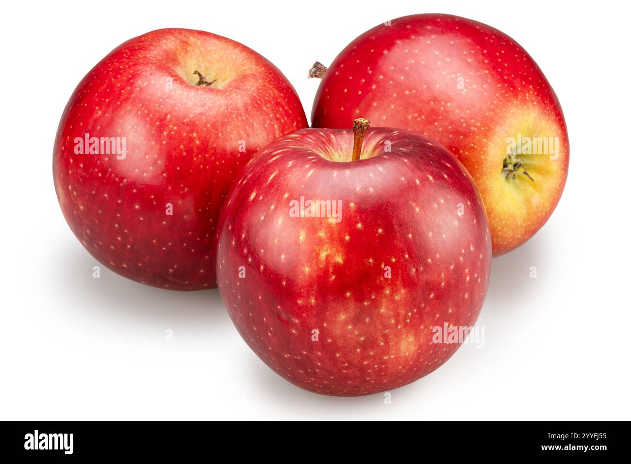 Three ripe red apples on white background. File contains clipping path. Stock Photo