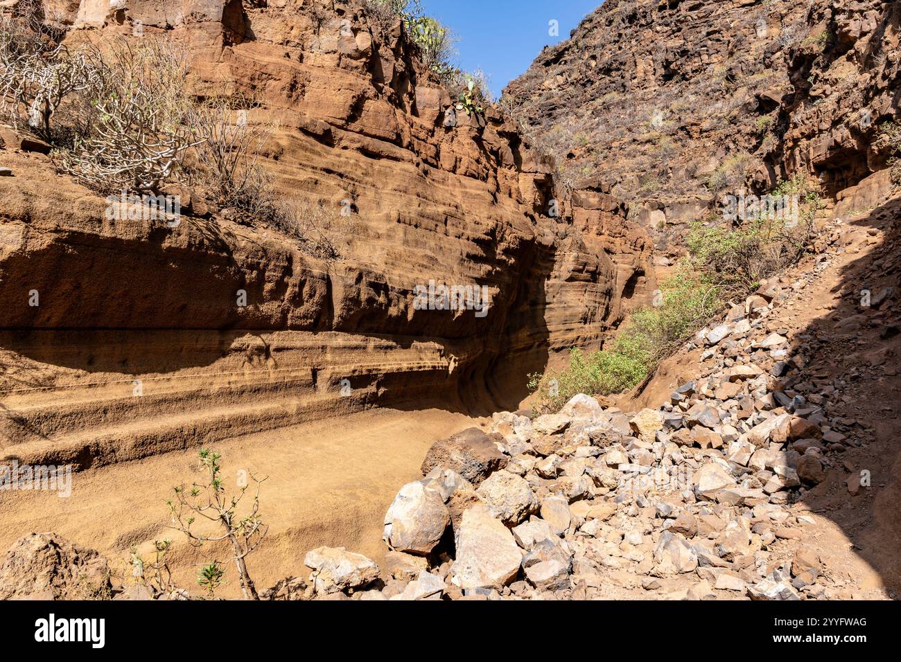 Rocky tree lined island hi-res stock photography and images - Alamy