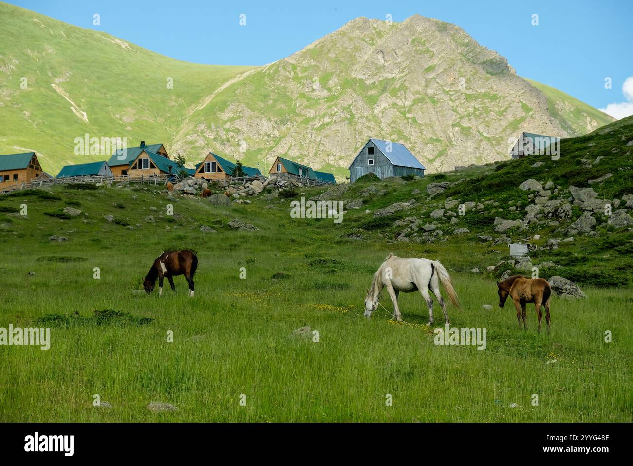 Albanian alps, Peaks of the Balkans trail Stock Photo - Alamy