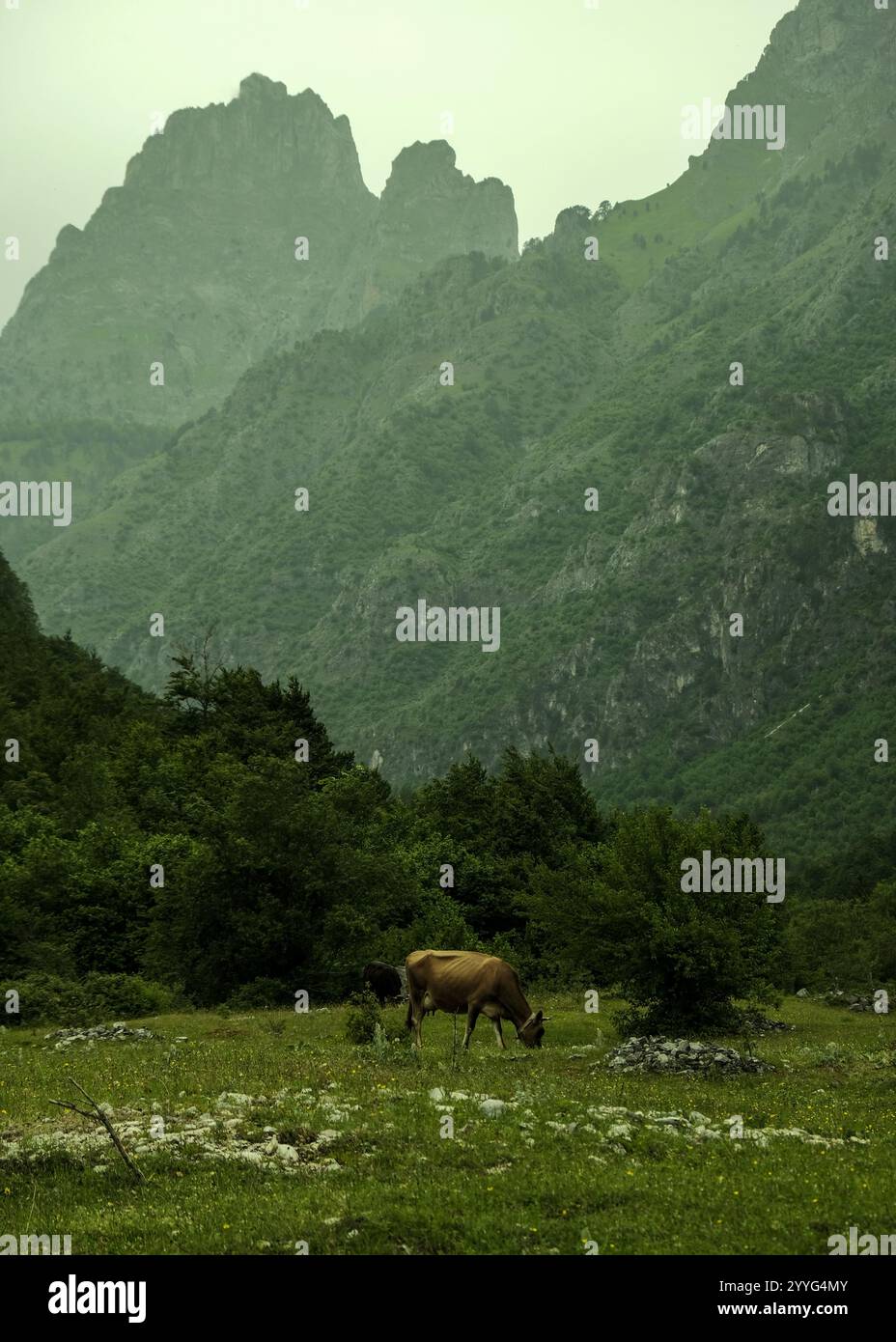 Albanian alps, Peaks of the Balkans trail Stock Photo - Alamy