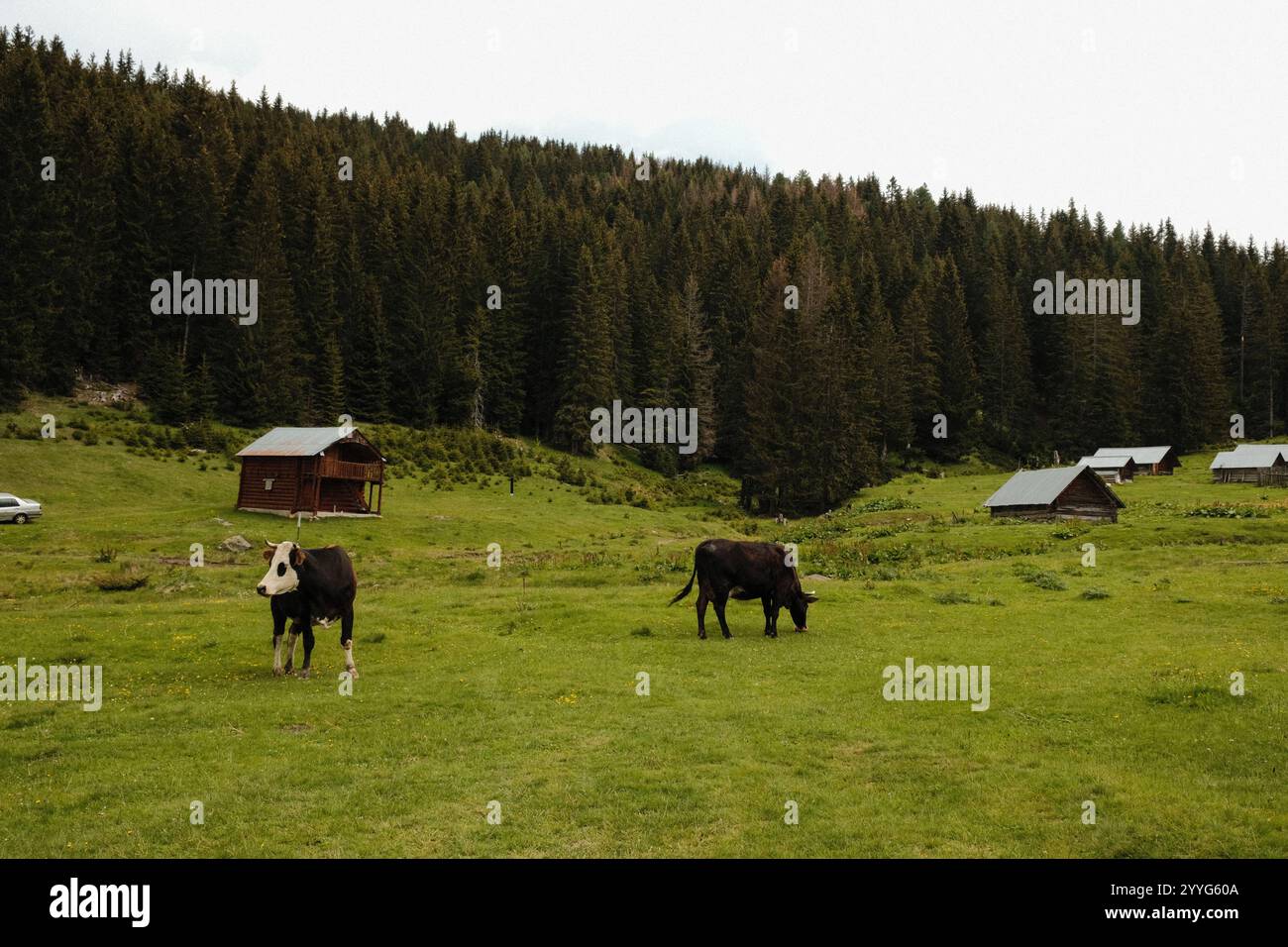 Albanian alps, Peaks of the Balkans trail Stock Photo - Alamy