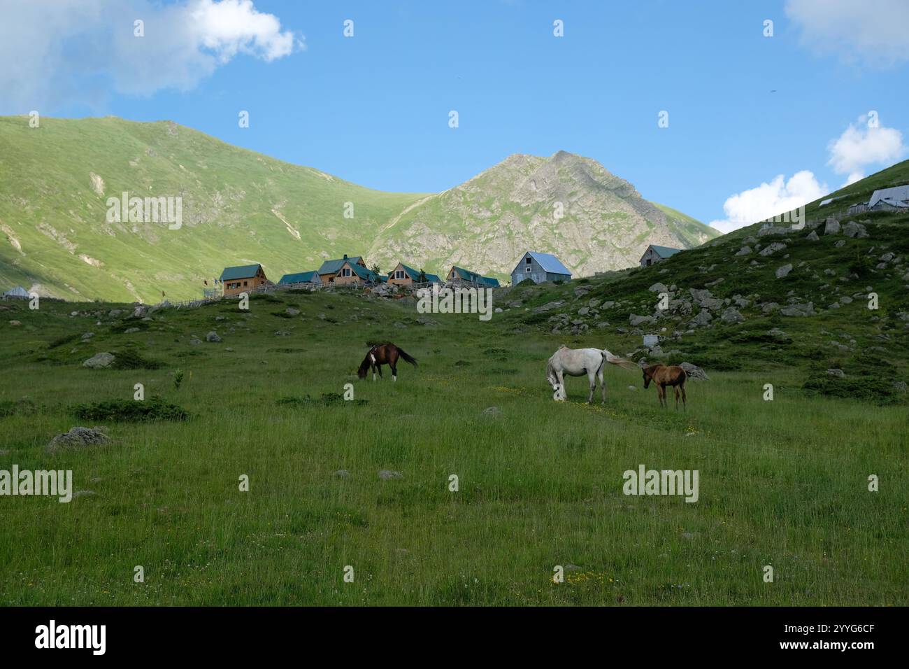 Albanian alps, Peaks of the Balkans trail Stock Photo - Alamy