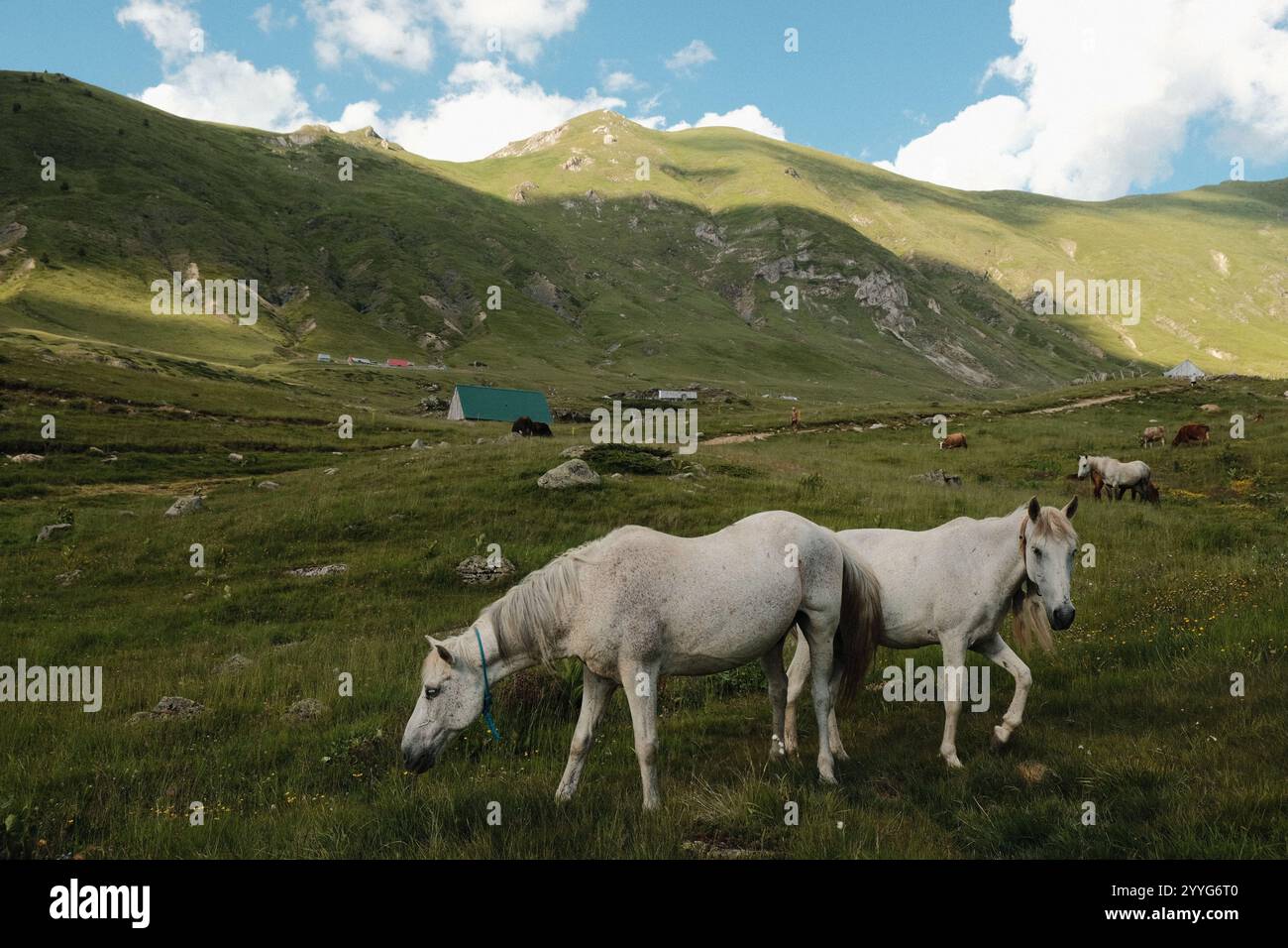 Albanian alps, Peaks of the Balkans trail Stock Photo - Alamy