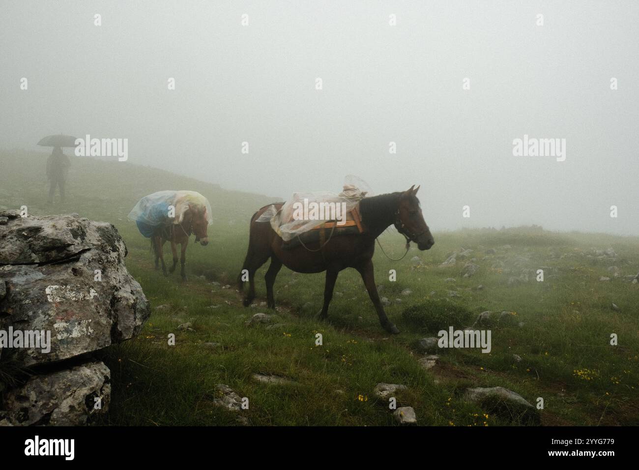Albanian alps, Peaks of the Balkans trail Stock Photo - Alamy