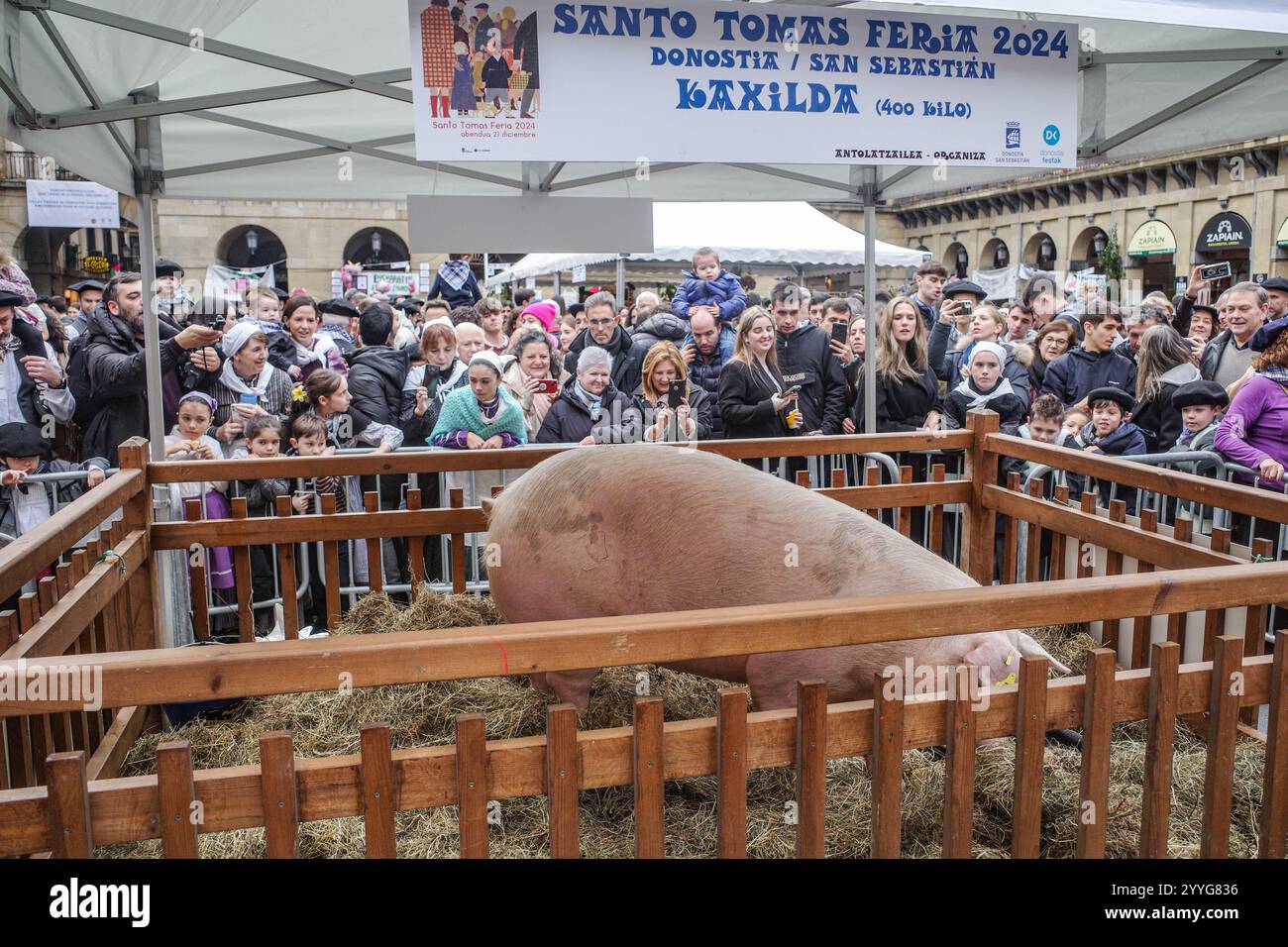 San Sebastian, Spain - 21 Dec, 2024: Pig, 'Kaxilda', on display at part ...