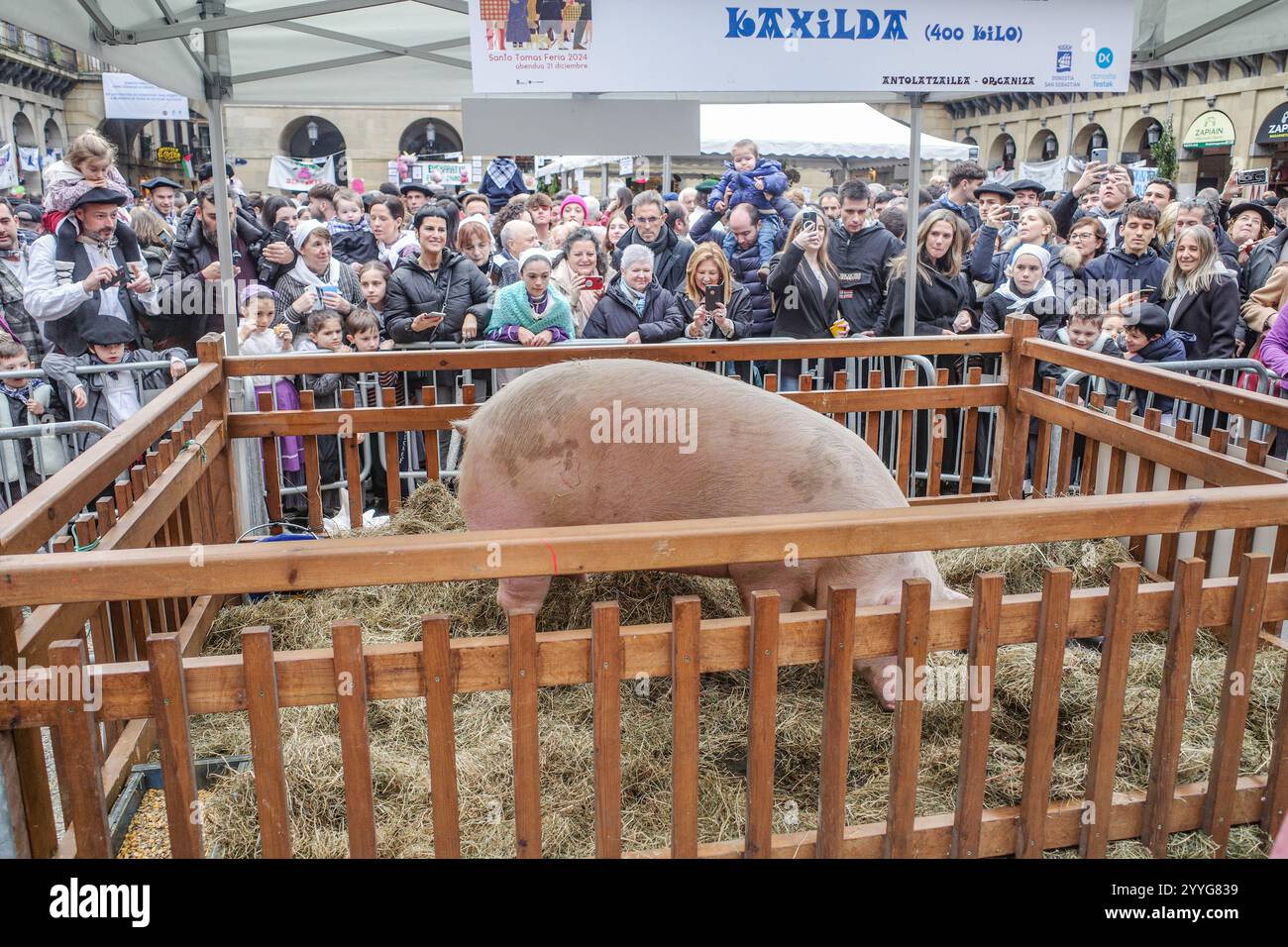 San Sebastian, Spain - 21 Dec, 2024: Pig, 'Kaxilda', on display at part ...