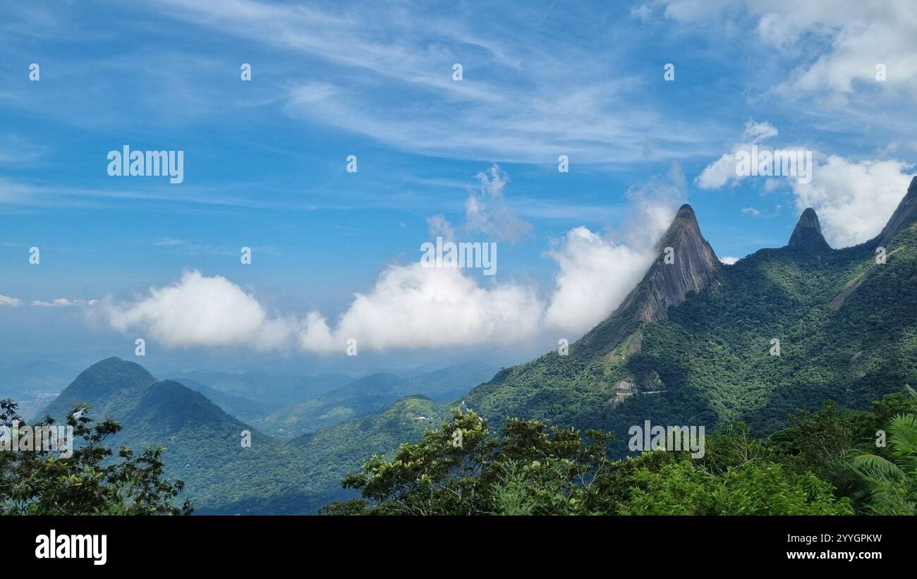 This spectacular mountain landscape features towering, jagged peaks piercing the sky, enveloped in lush green forest. - Smartphone Captured Stock Image