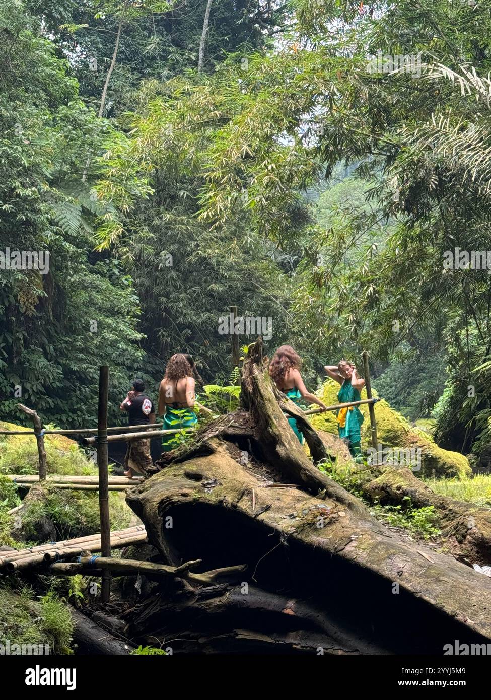 Indonesia, Bali, Central Mountains, Waterfall - Smartphone Captured Stock Image