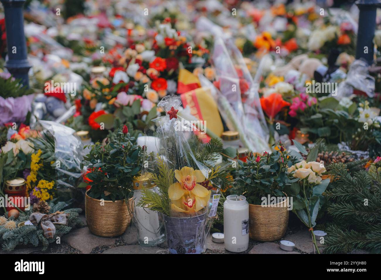 Magdeburg Anschlag auf den Magdeburger Weihnachtsmarkt, Sachsen-Anhalt