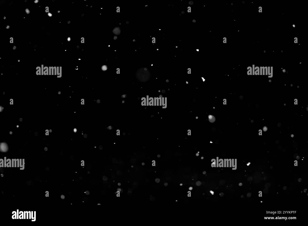 Blizzard falling rain snowflakes Black and White Stock Photos & Images ...