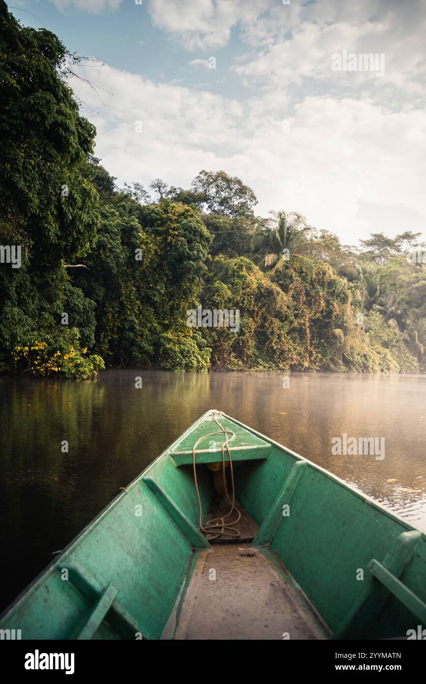 Green boat navigating a calm river surrounded by lush amazon rainforest ...