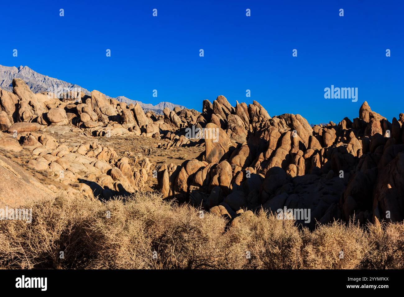 A rocky desert landscape with a blue sky in the background. The rocks ...
