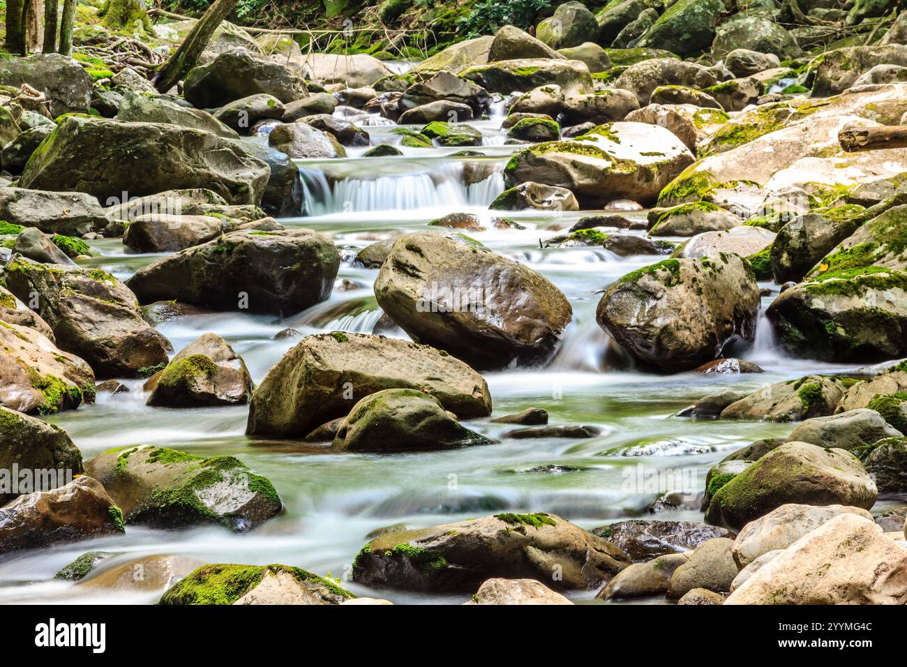 Large stream water flows through hi-res stock photography and images ...