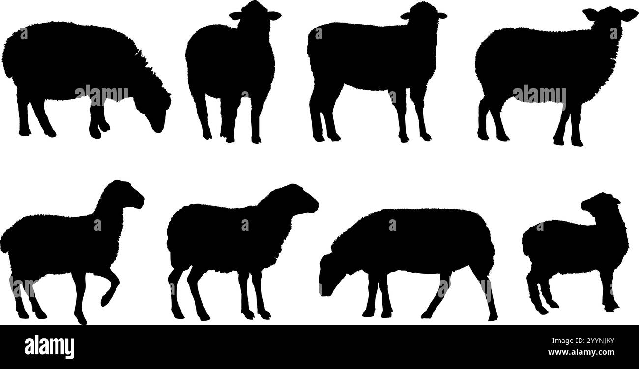 set of silhouettes of sheep Stock Vector Image & Art - Alamy