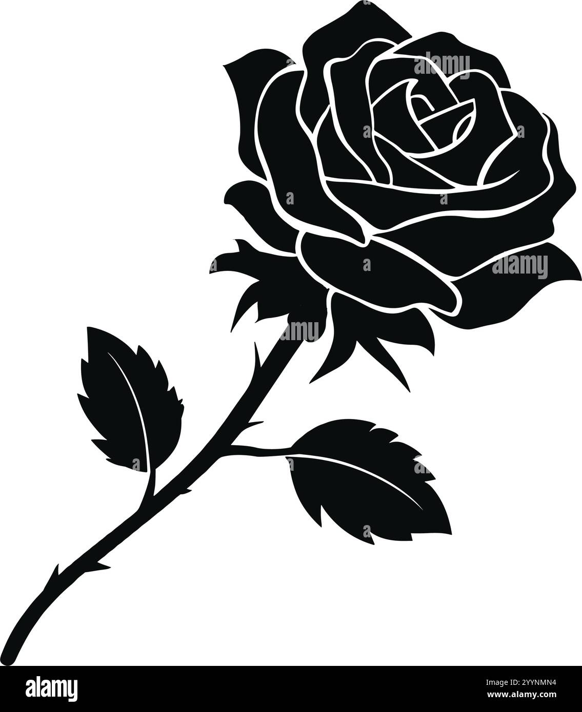 black rose - vector illustration Stock Vector Image & Art - Alamy