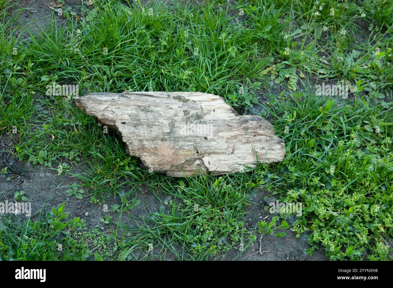 Rough piece meadow hi-res stock photography and images - Alamy