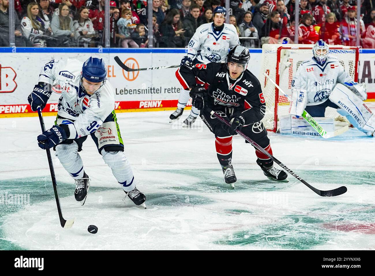 Germany. 22nd Dec, 2024. Eishockey Penny-DEL 29.Spieltag Koelner Haie - Straubing Tigers am 22.12.2024 in der Lanxess Arena in Koeln Marcel Brandt ( Straubing ), links - Robin van Calster ( Koeln ), rechts Gemaess den Vorgaben der DEL Deutsche Eishockey Liga ist die Publikation und Weiterverwertung der Aufnahmen in elektronischen Medien und Endgeraeten aller Art waehrend des laufenden Spiels nicht zulaessig. Foto: Revierfoto Credit: ddp media GmbH/Alamy Live News Stock Photo