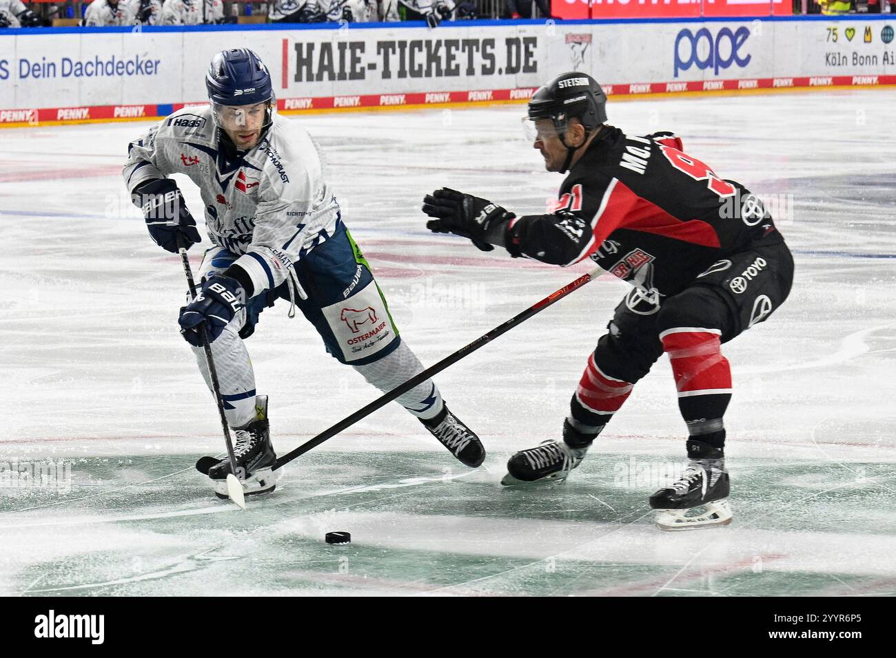 Eishockey DEL - 24/25 - 29. Spieltag: Kölner Haie vs Straubing Tigers am 22.12.2024 im in der LANXESS arena in Köln Straubings Taylor Leier (Nr.7) gegen Kölns Moritz Müller (Nr.91) Foto: osnapix Stock Photo