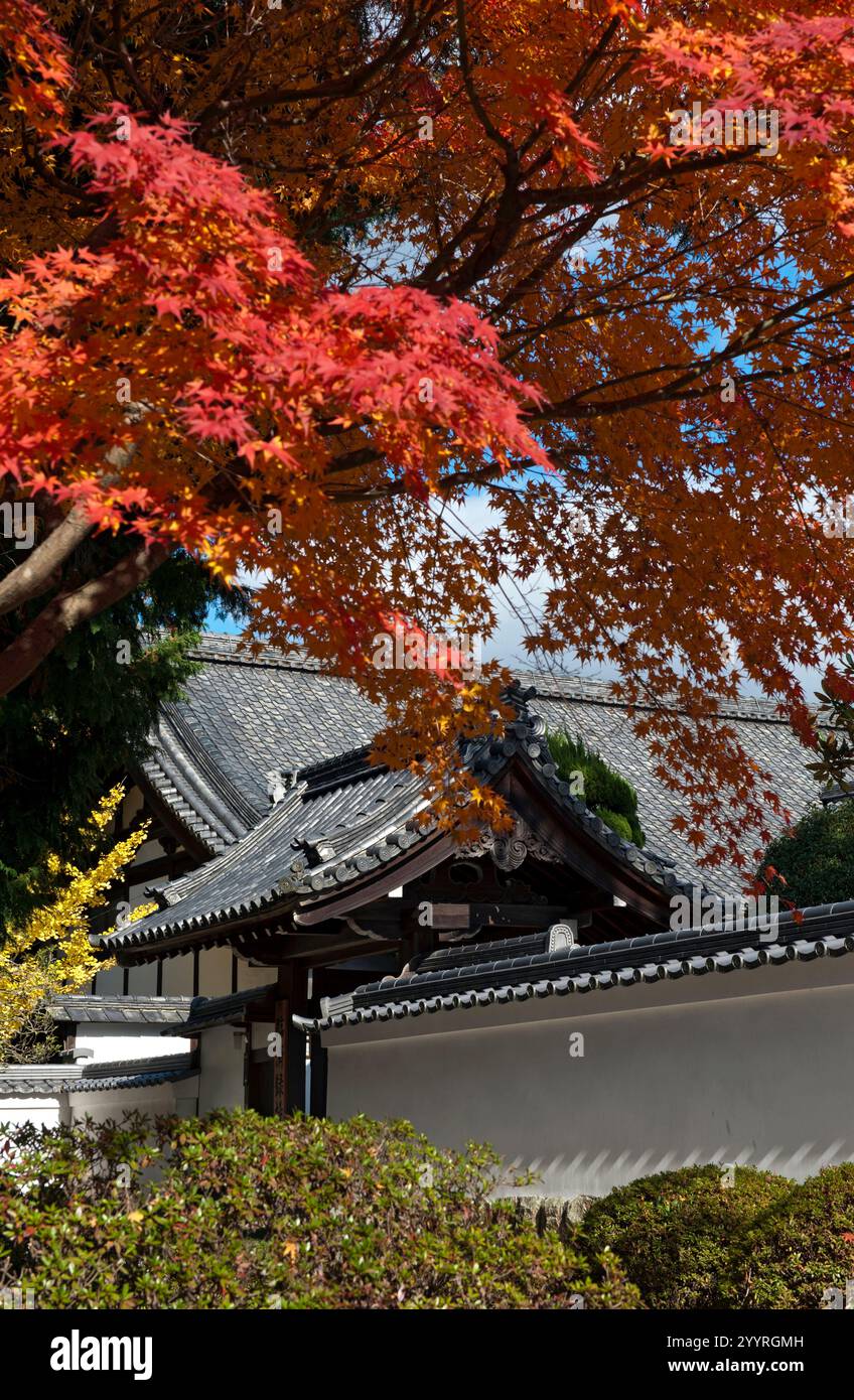 Autumn red maple trees hang over temple wall and buildings at Nanzenji ...